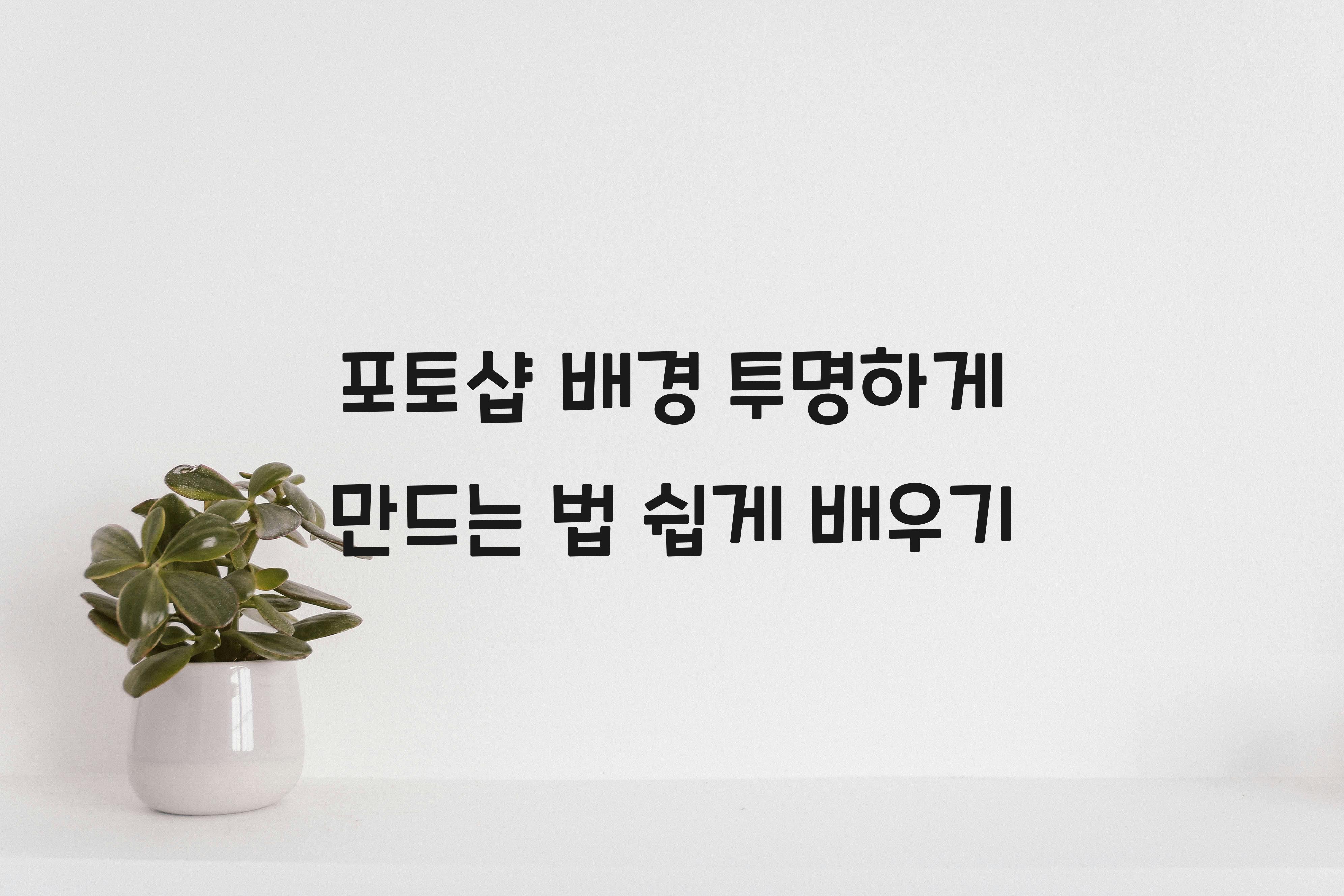 포토샵 배경 투명하게 만드는 법