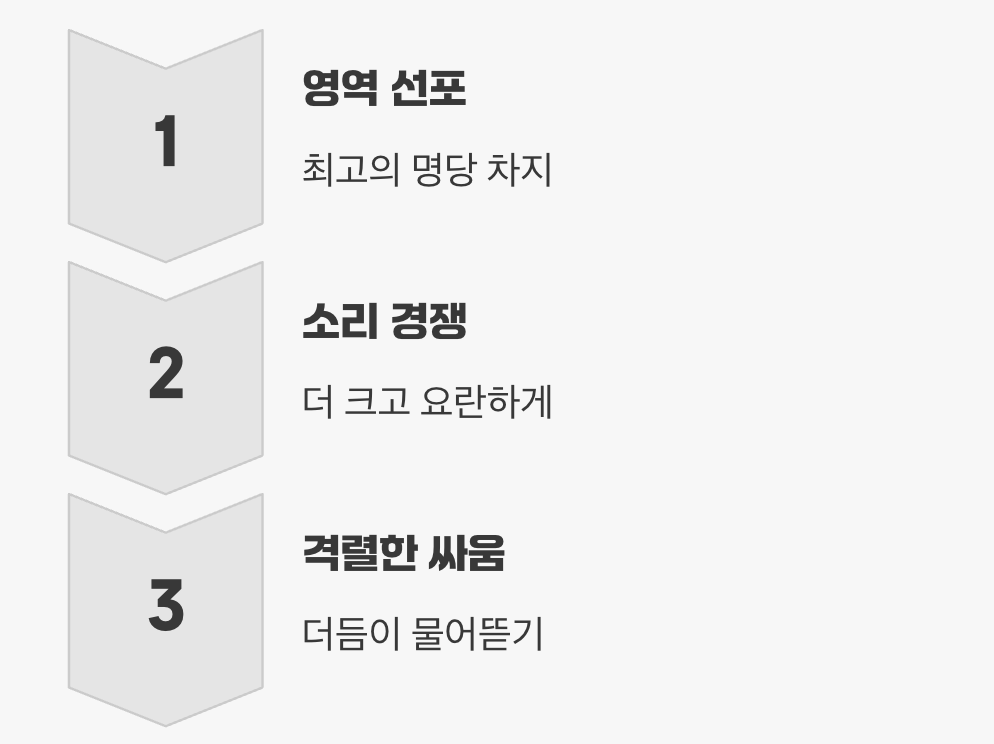"여기는 내 구역이야!"