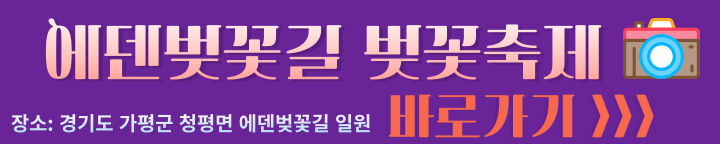 가평 에덴벚꽃길 벚꽃축제 알아보러 바로가기