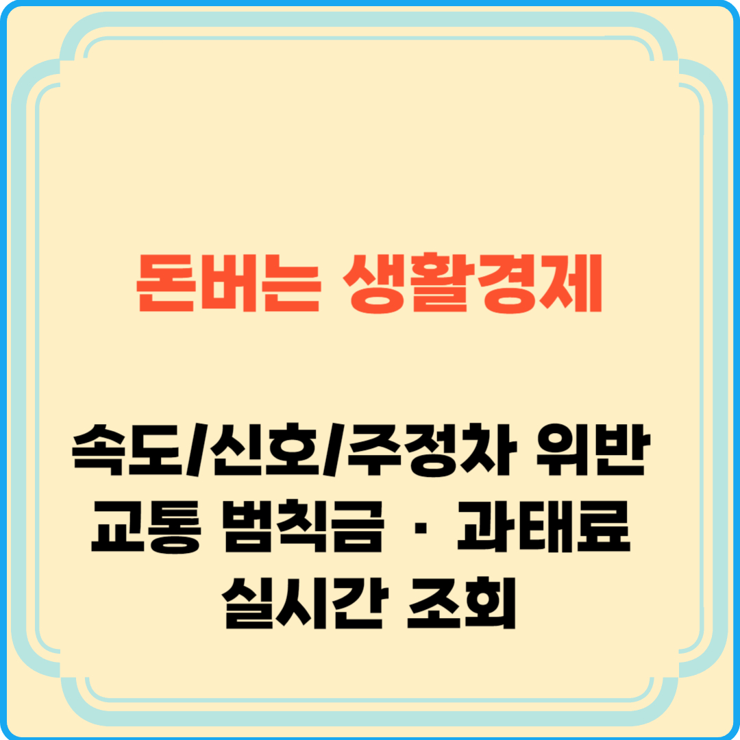 신호위반 속도위반 교통 범칙금 과태료 실시간 조회