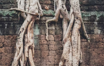 근저당 설정이란