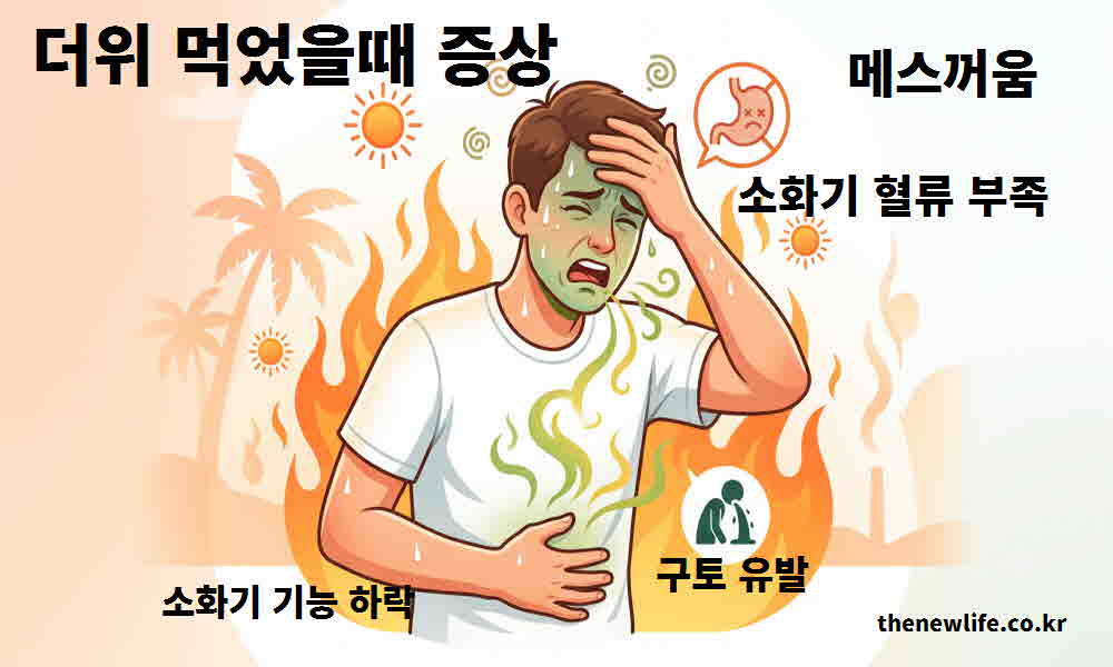 더위 먹었을때 증상 메스꺼움