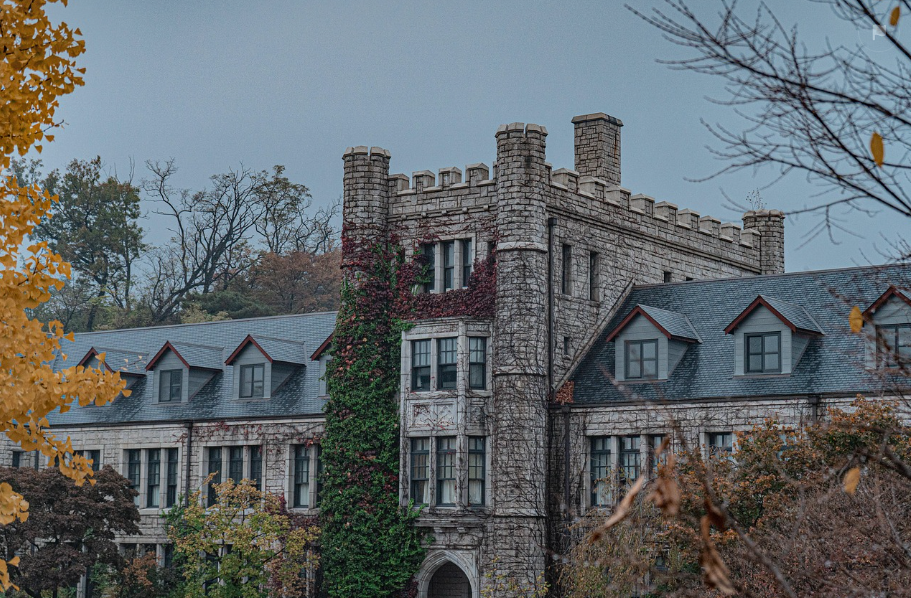 서울대학 인기학과 비교 관련 사진