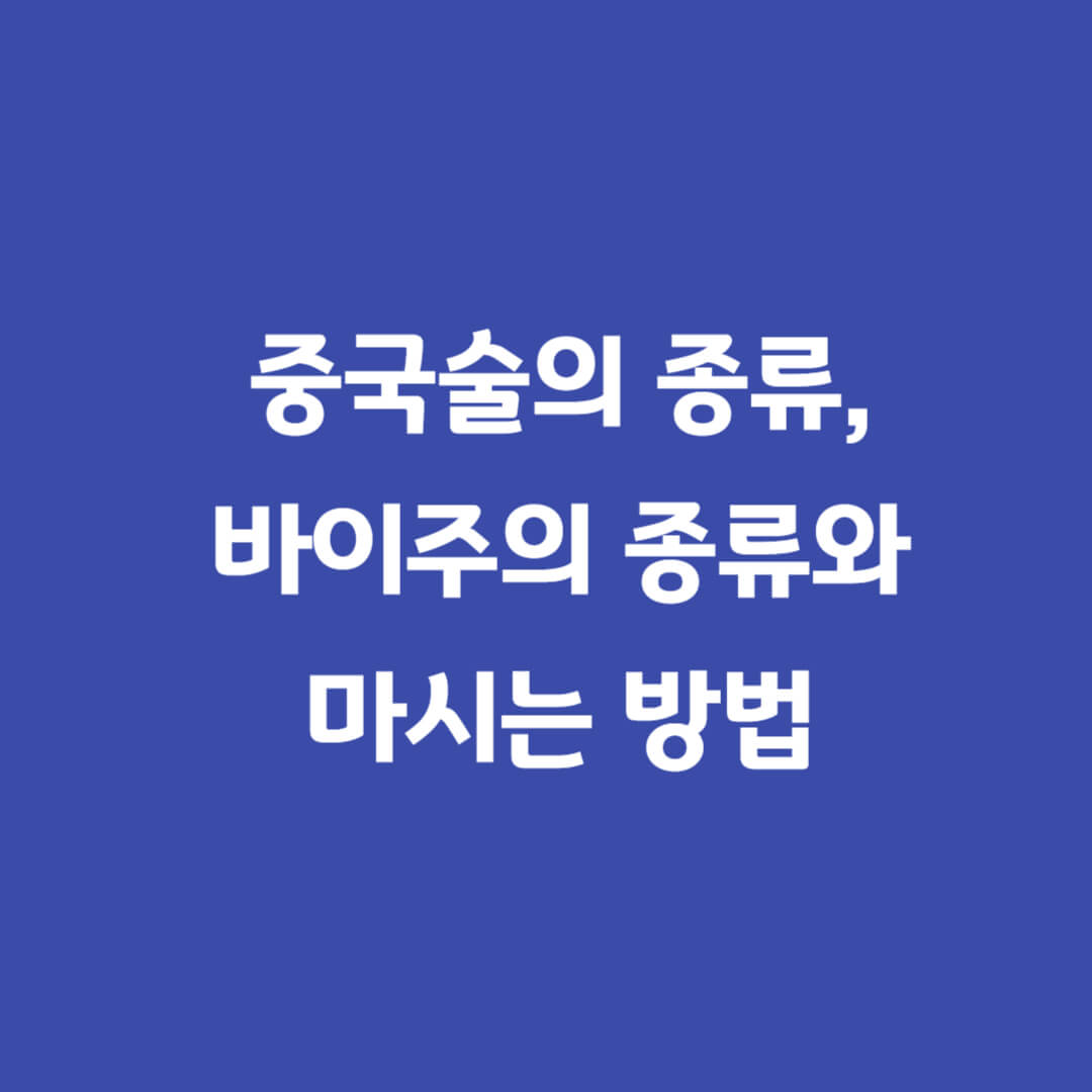 중국술종류바이주