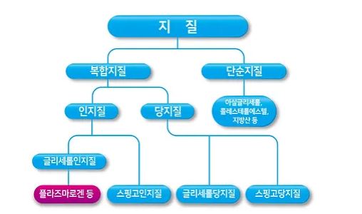 인지질