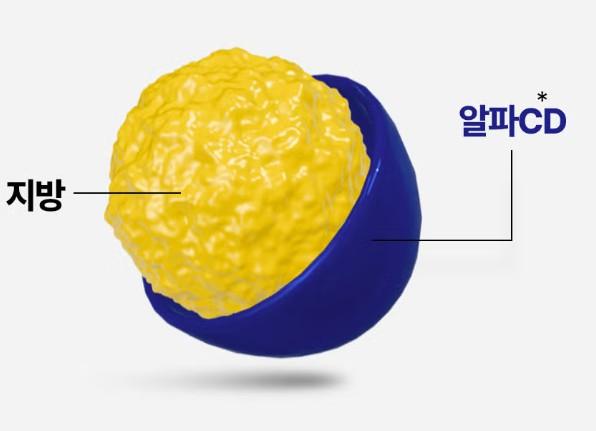 알파cd효능