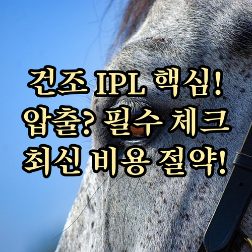 안구건조 IPL 시술 전 압출 포함 ..