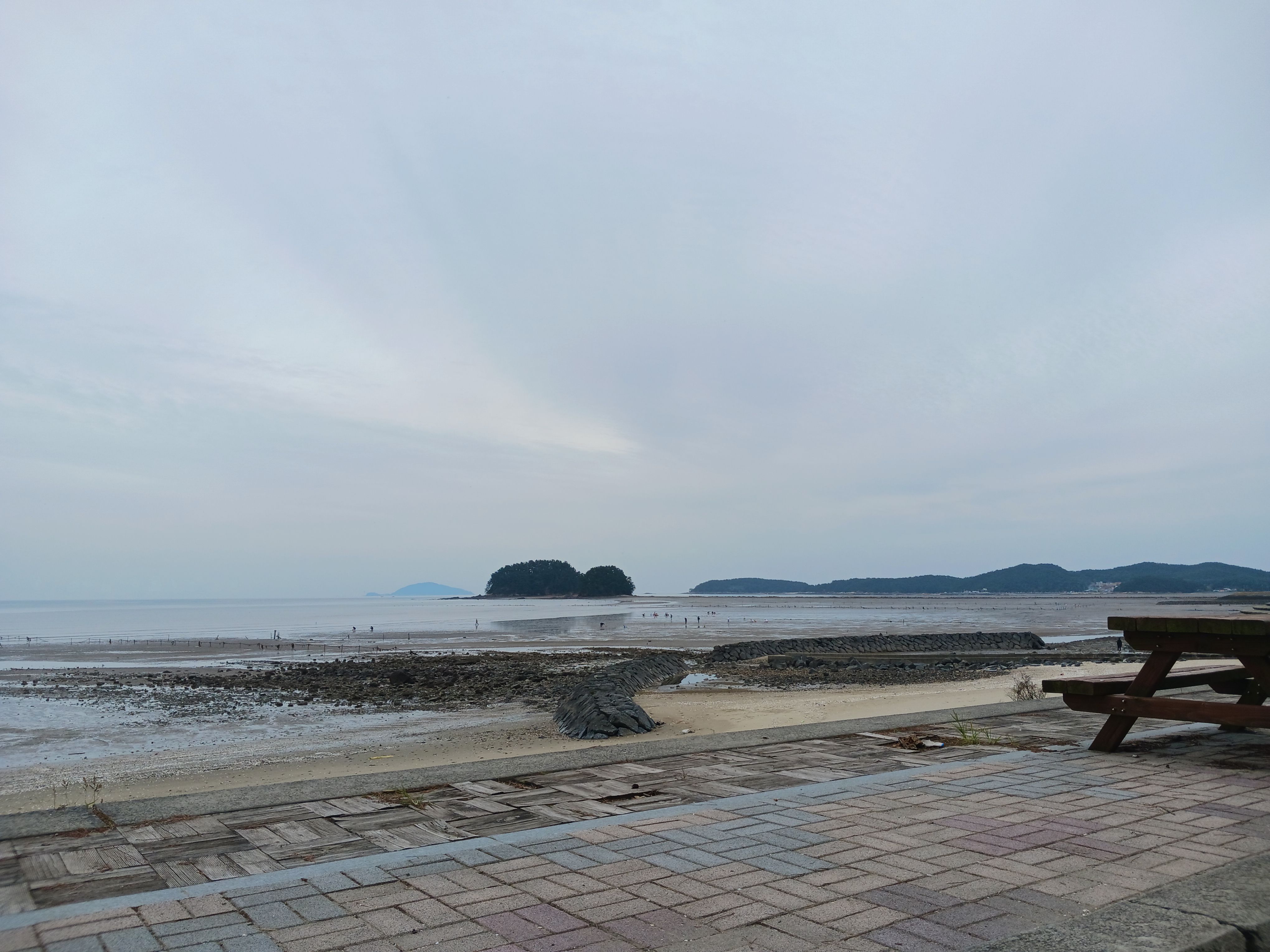 서천갯벌
