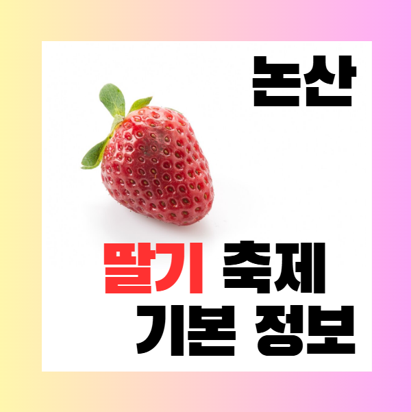 2025 논산딸기축제 기본정보 일정 기간 장소 총정리 썸네일