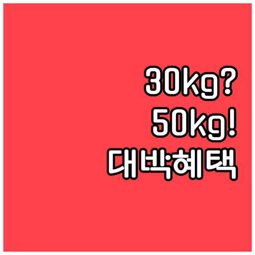 가루다인도네시아 국제선 수하물 30k..