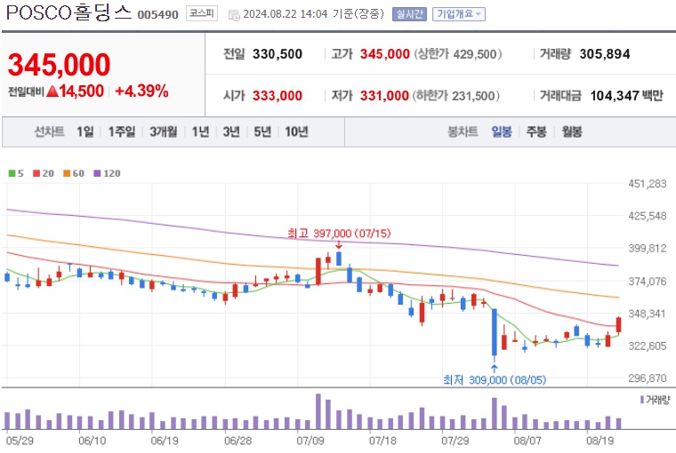 POSCO홀딩스 주가 (0822)