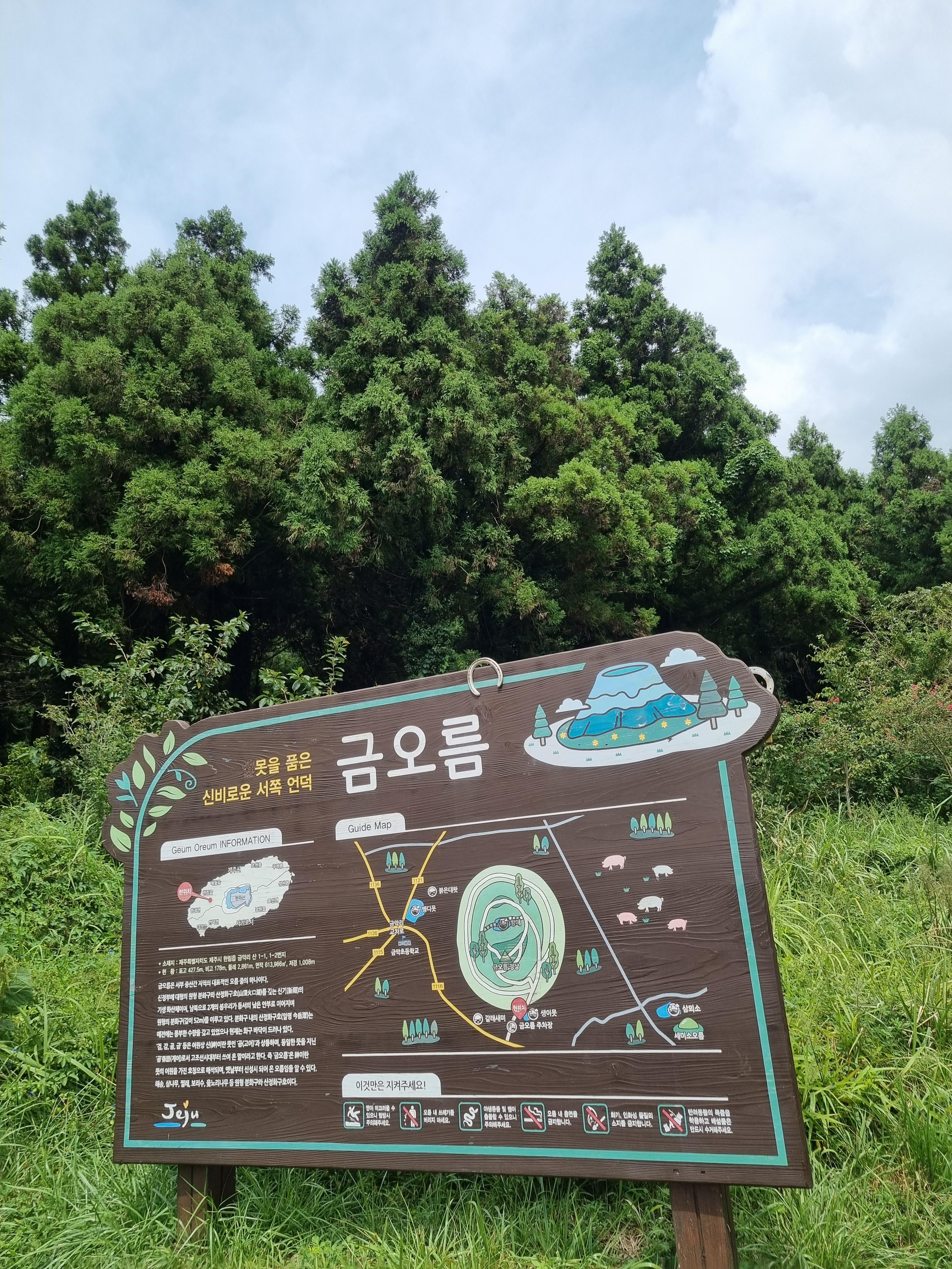 금오름