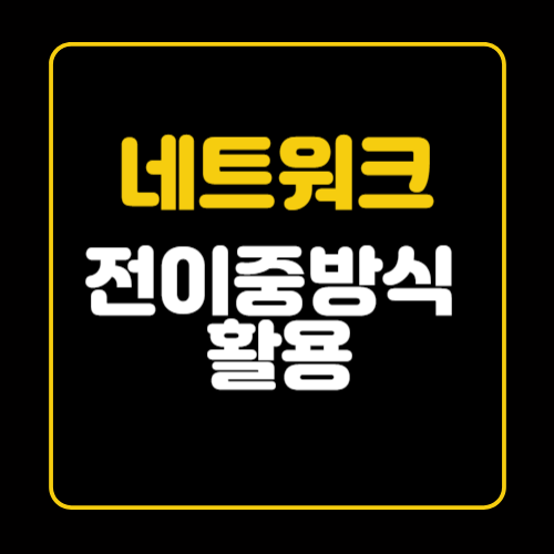 네트워크 전이중 방식의 활용