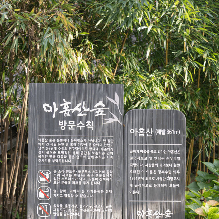 아홉산숲 입구 소개