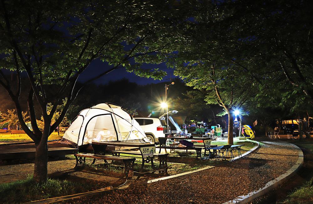 레전드 캠핑장 송지호오토캠핑장 소개