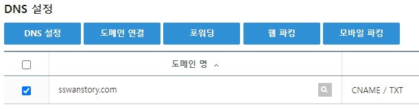 DNS설정