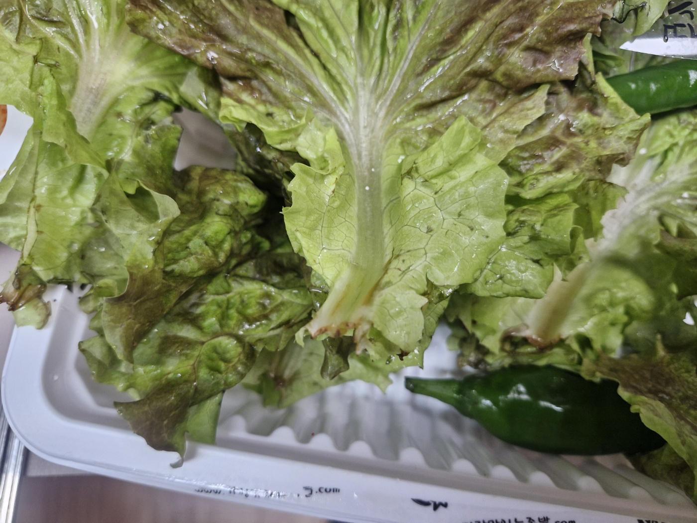 냉동실에 얼린 이것 당장 버리세요 (비닐봉지밥&amp;#44; 플라스틱용기밥)