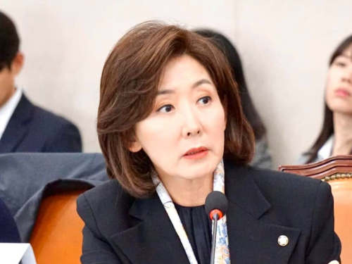 국민의힘 나경원 나이 고향 학력 딸 자녀 프로필