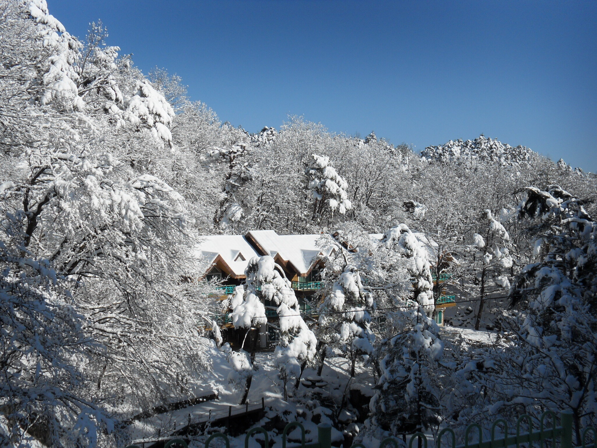 대관령 자연휴양림