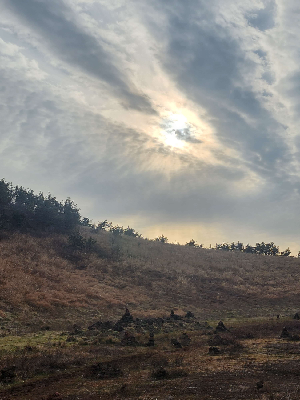 봄 여행지 제주도