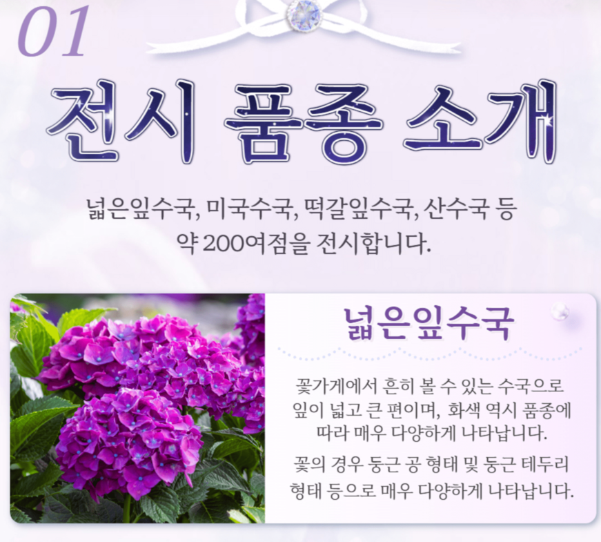 아침고요수목원 수국 전시회 일정 주차 정보 포토존 즐길거리