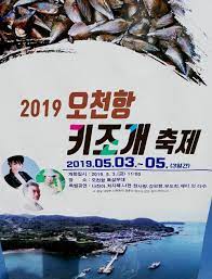 2024 오천항 키조개 축제 기본일정과 특징 소개