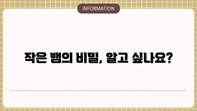 작은뱀꿈 뱀보는꿈 나오는 뱀꿈해몽