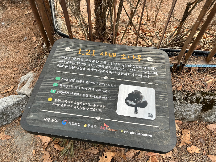 김신조 나무