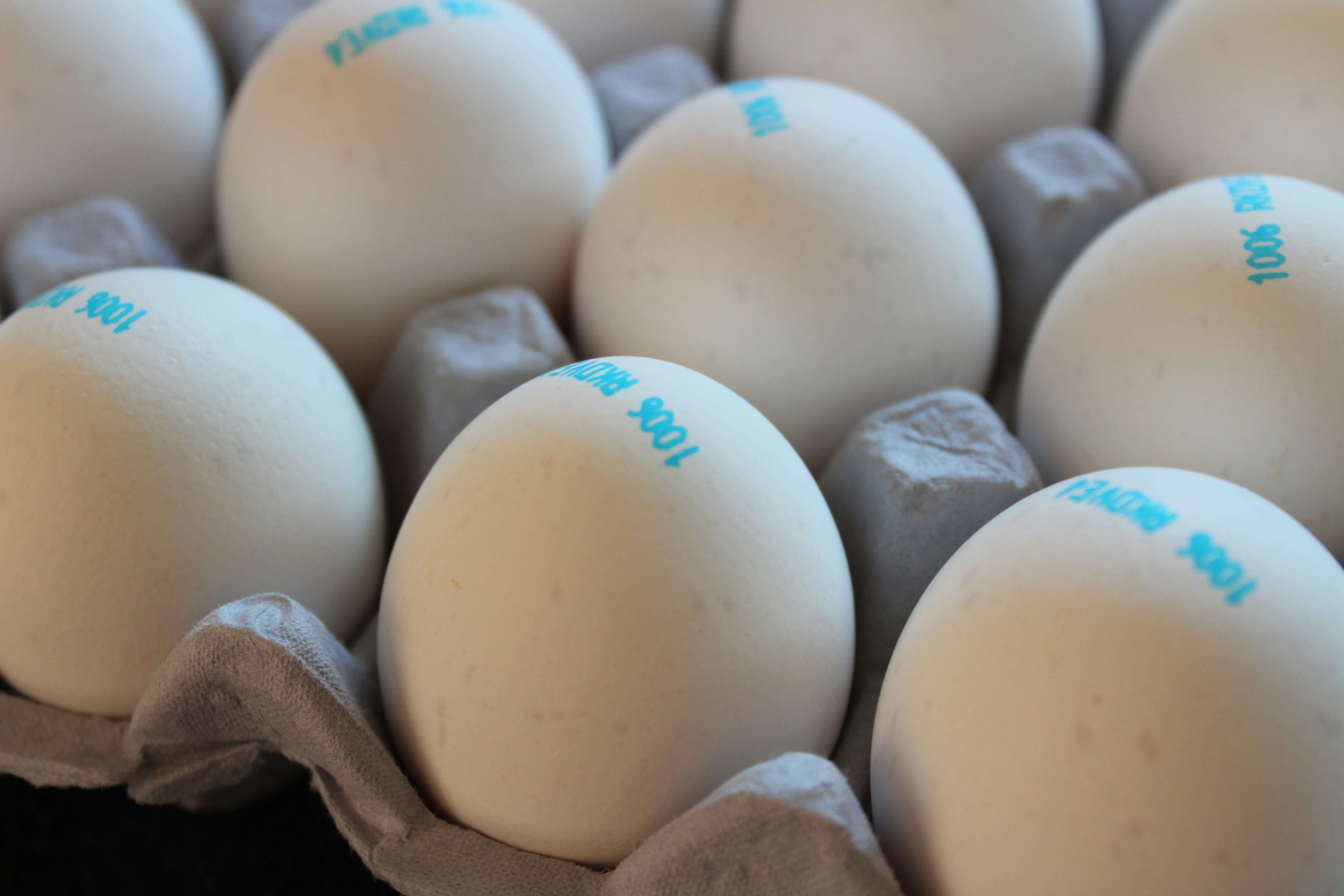 건강한 흰색 계란 한 판 이미지