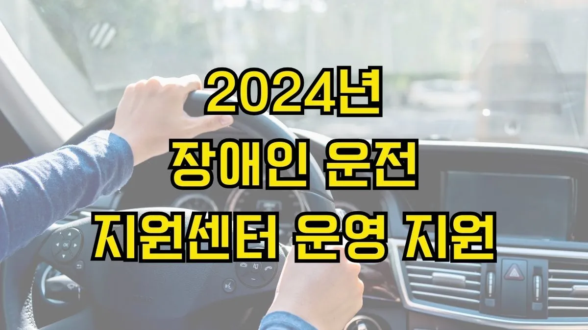 장애인 운전면허 취득