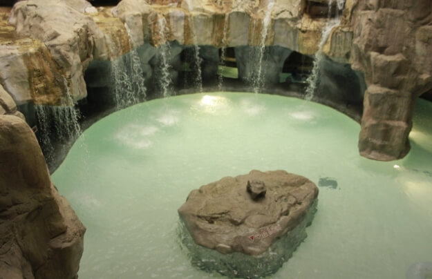 캐리비안베이 셔틀버스 예약방법과 장점