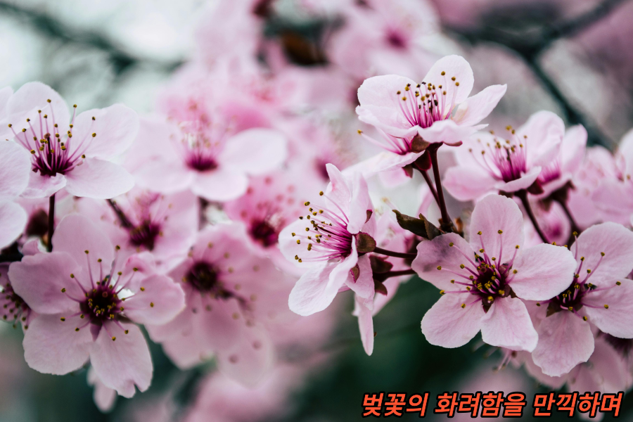 화려함을 만깍하며