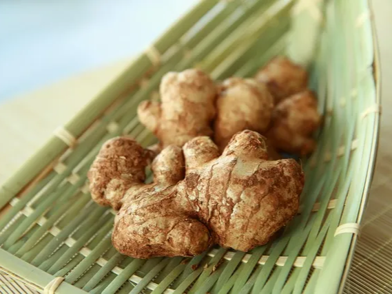 생강 속 쓰림 효과