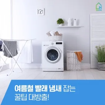 여름철 빨래 쉰내 곰팡이 완벽 제거 식초 소독 꿀팁과 세탁법 베스트 관리_16