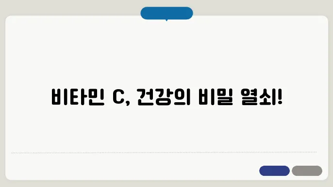 뻯타민 c 효능