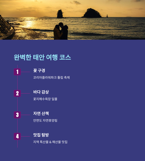 2025 태안 세계 튤립 꽃 박람회 여행 코스