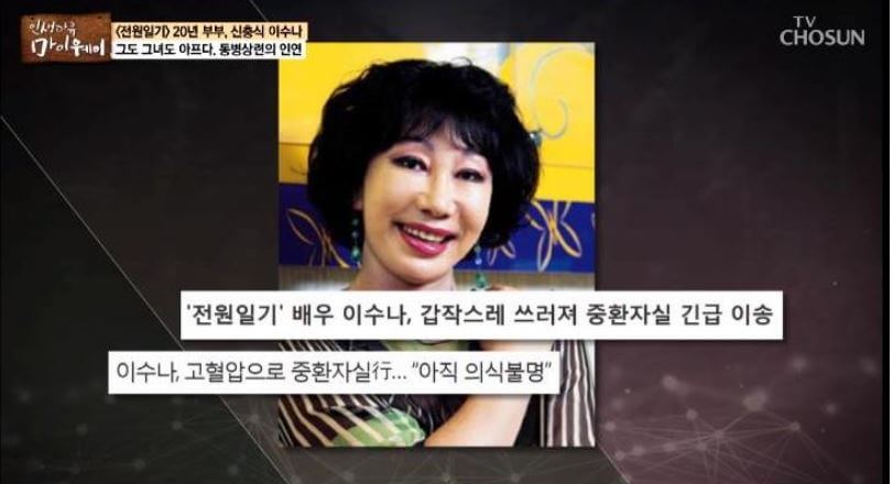 이수나 고혈압 뇌사