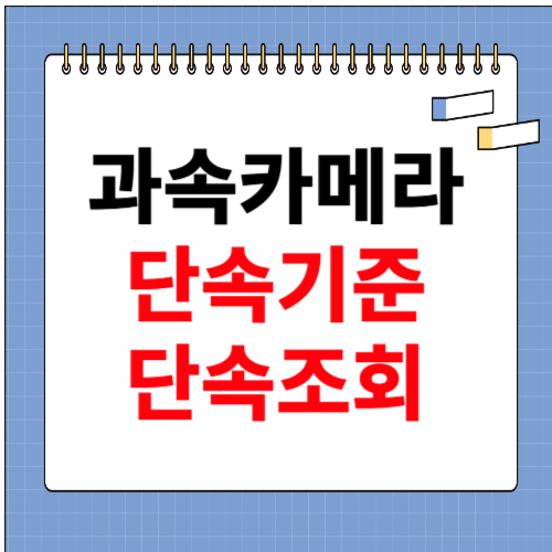 과속 카메라 단속기준