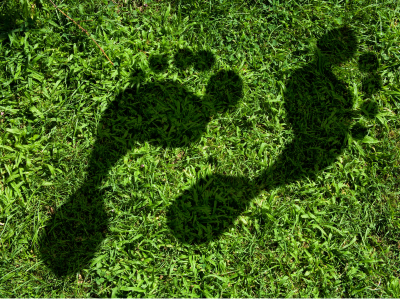 창덕궁 후원 예약 홈페이지 할인 혜택 총정리