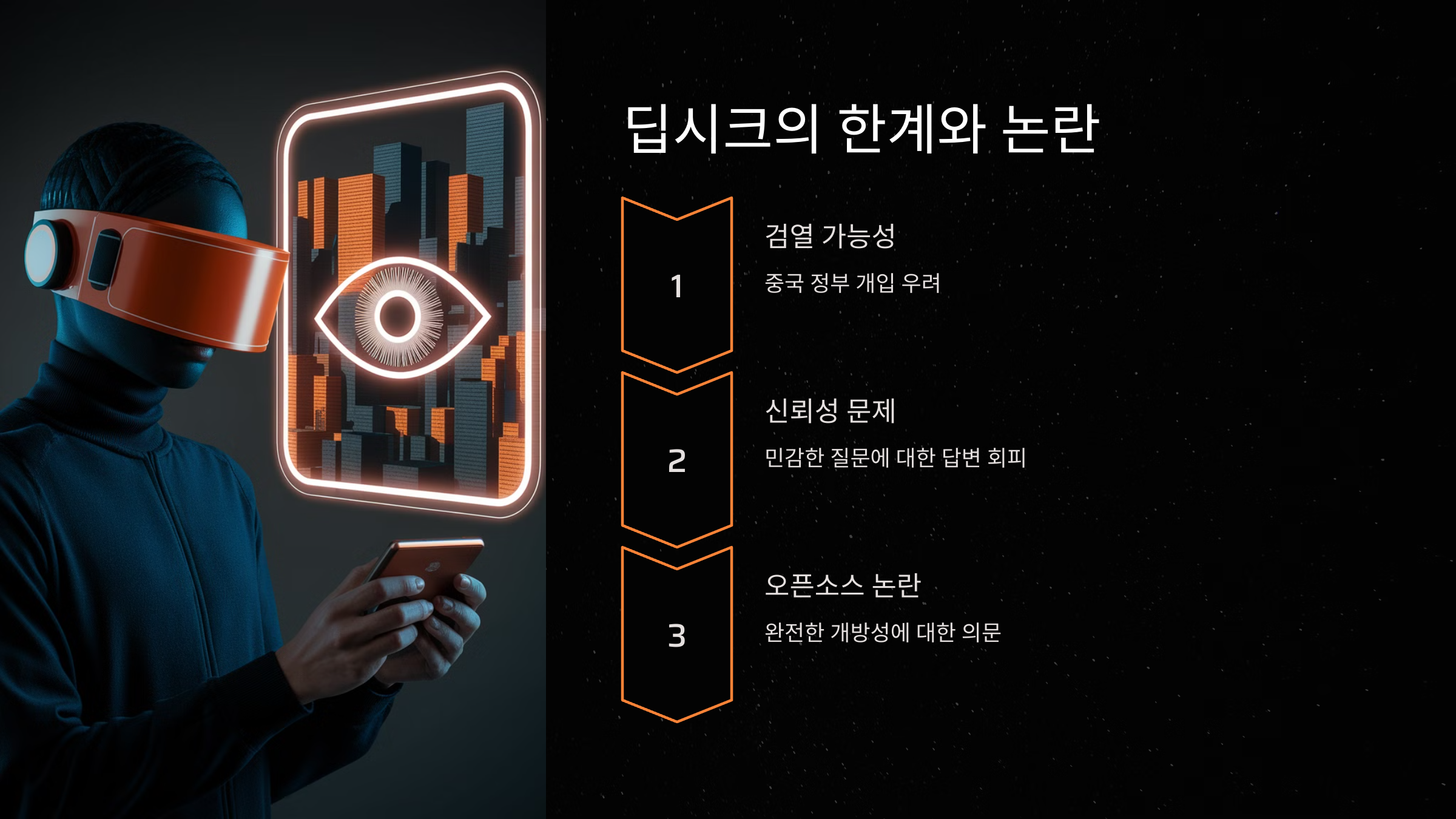 딥시크의 한계와 논란