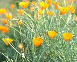 금영화 이미지 사진