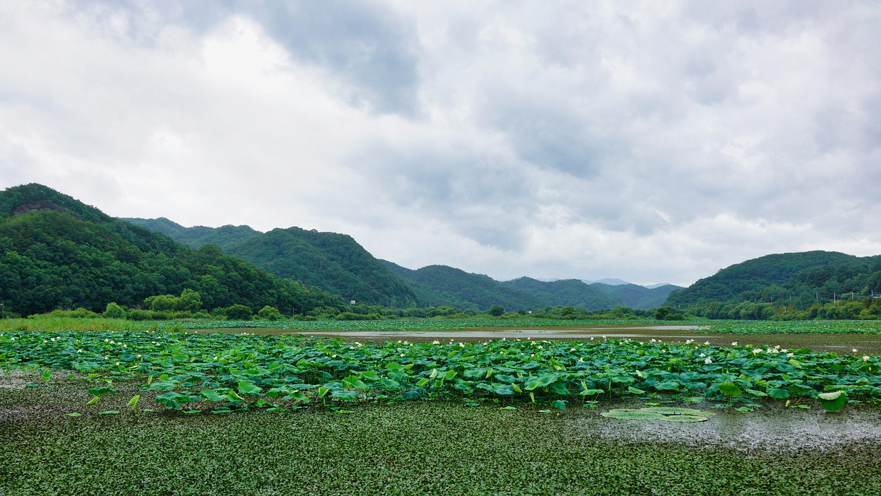 합천 여름 여행 가볼 만한 곳 관련 사진