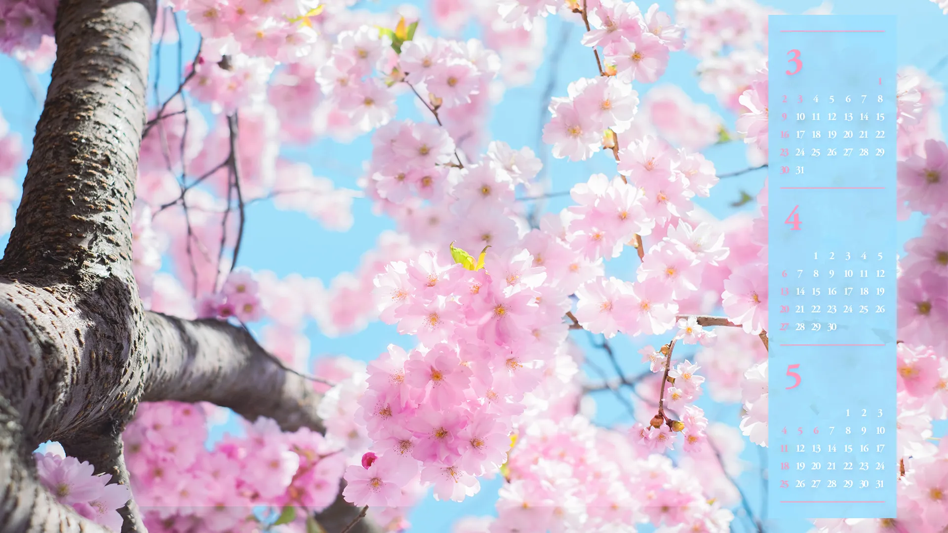 2025년 4월 달력 바탕화면 이미지 모음_4