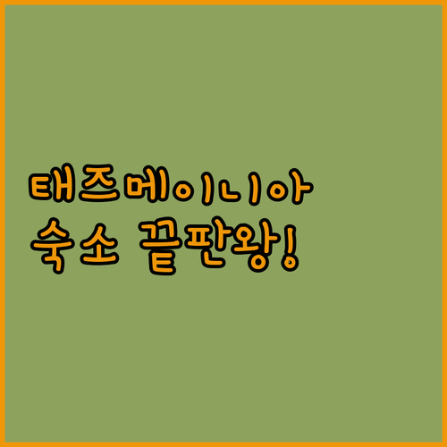 태즈메이니아 여행 숙소 추천 일루카 ..