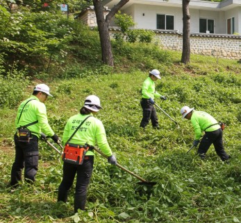 논산 벌초 대행 최신 서비스 가격, 신청 방법, 후기까지 총정리 관련사진