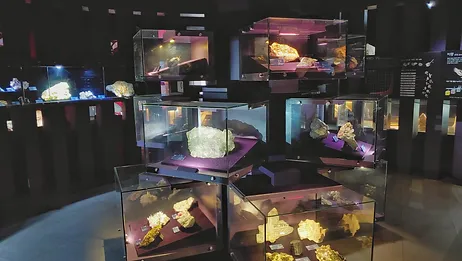 우석헌 자연사 박물관