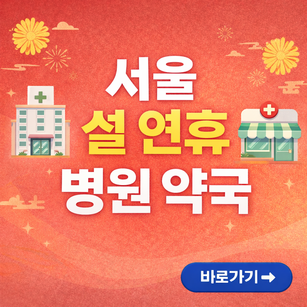 서울 설연휴 병원, 약국 찾기