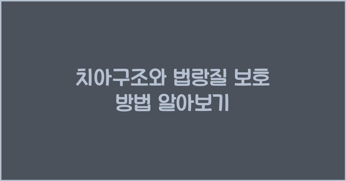 치아구조, 법랑질 보호