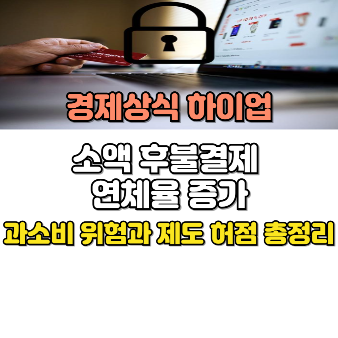 소액 후불결제 연체율 증가