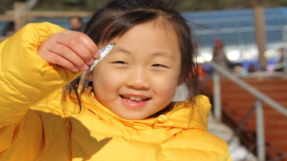 양평 빙송어축제 예약 총정리